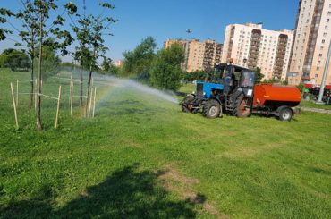 Отчет по сансодержанию за неделю