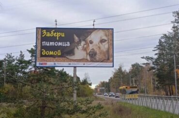 «Забери питомца домой»